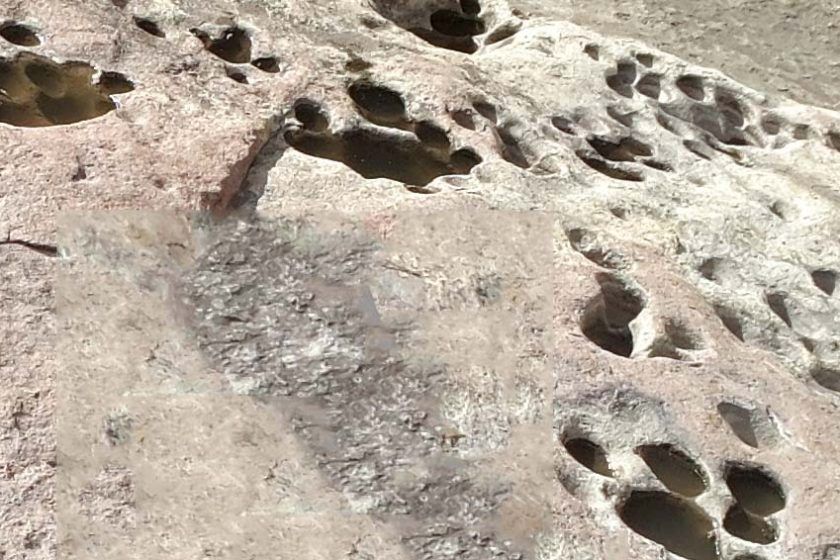 Gira de observación a conocer huellas de mastodontes en la Quebrada de Chalán